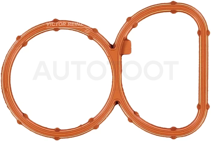 Прокладка впускного коллектора двойная BMW 1(E81)/1(E87)/3(E90)/5(E60) N47D20