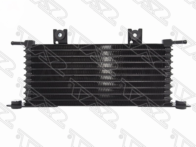Радиатор масла R9M/MR20DD/QR25DE