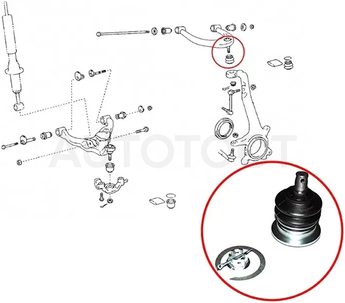 Шаровая опора верхнего рычага TOYOTA LAND CRUISER 100/LEXUS LX470/SURF/PRADO 02