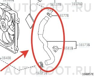 Патрубок радиатора охлаждения нижний -  для TOYOTA CAMRY