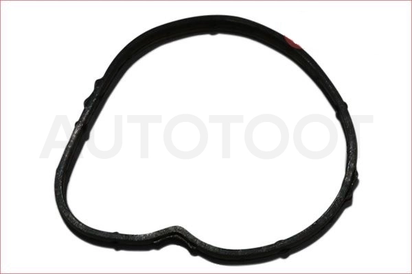 Прокладка термостата 2.0 -7026566 Elwis Royal для FORD FOCUS