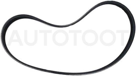 Ремень приводной 1.8/2.0 -D11BR0008 Cworks для FORD FOCUS