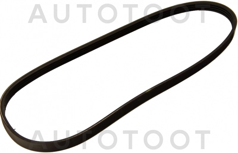 Ремень поликлиновой -4PK800 GLOBELT для NISSAN ALMERA, NISSAN PRIMERA, NISSAN SUNNY, TOYOTA CAMRY