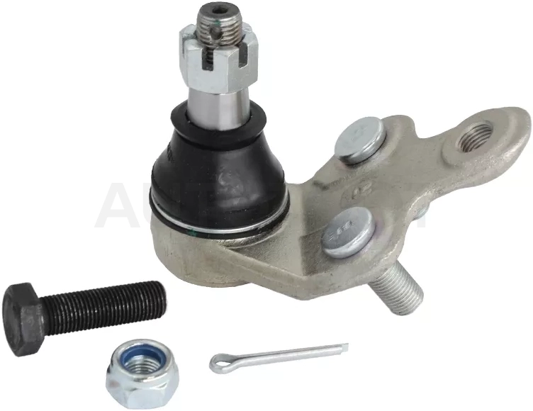 Шаровая опора нижняя TOYOTA ALPHARD/CAMRY/ESTIMA/HARRIER/KLUGER/SIENNA/WINDOM/LEXUS ES/RX3#0 01- RH