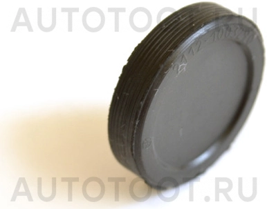 Заглушка ГБЦ 16кл -  для LADA (ВАЗ) PRIORA, LADA (ВАЗ) 2112, LADA (ВАЗ) 2110