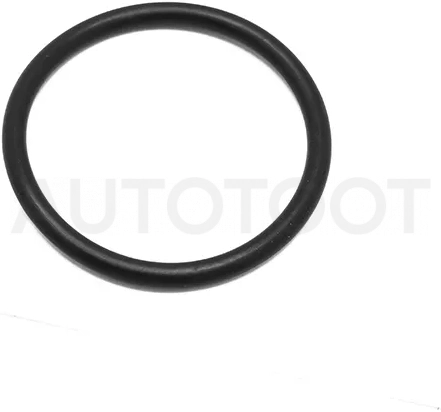 Прокладка термостата VAG POLO/OCTAVIA/PASSAT/TIGUAN 1.4/1.6 10-15 CFNA/CAXA/BLF