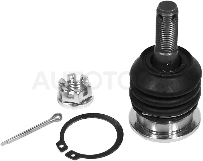 Шаровая опора переднего верхнего рычага TOYOTA MARK X 04-/CROWN/MAJESTA 03-/LEXUS IS 250/350/GS 300/ LH=RH