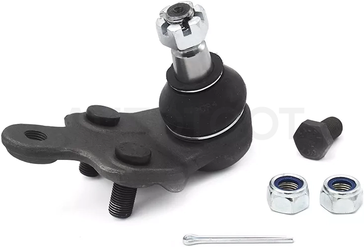 Шаровая опора нижняя TOYOTA ALPHARD/CAMRY/ESTIMA/HARRIER/KLUGER/SIENNA/WINDOM/LEXUS ES/RX3#0 01- RH