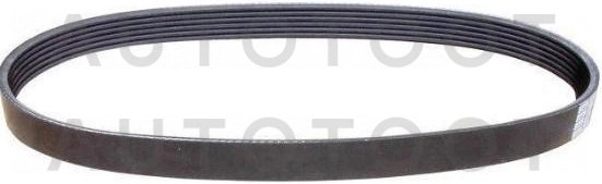 Ремень поликлиновой 6PK1555 -BRTB144 Brave для CHEVROLET CRUZE, FORD FOCUS