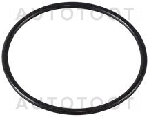 Кольцо уплотнительное маслопровода 55353328 -55353328 General Motors для CHEVROLET CRUZE