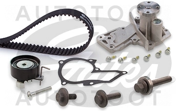 Комплект ГРМ с помпой 1, 4/1, 6 -530049530 Ina для FORD C-MAX, FORD FOCUS, FORD MONDEO, MAZDA 2 (DEMIO)