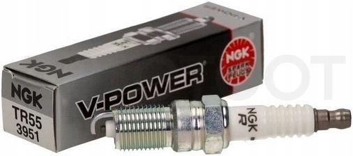 Свеча зажигания NGK 3951 TR55