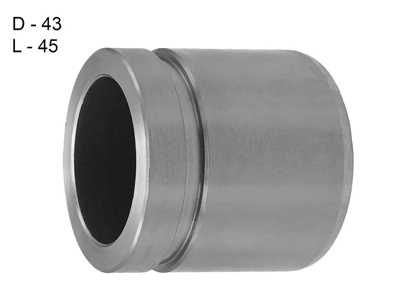 Поршень суппорта зад MITSUBISHI PAJERO/MONTERO SPORT 08-14 - Артикул D025384 - Производитель Autofren - Фото, Отзывы, Цены 