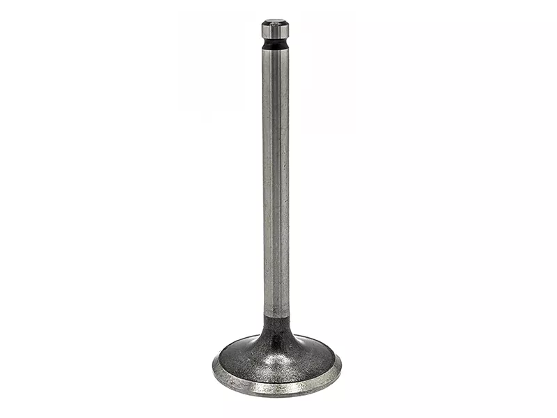 Клапан впускной MITSUBISHI CHALLENGER/DELICA/MONTERO SPORT/PAJERO/MONTER 4M40-T - Артикул IMB0364 - Производитель DOKURO - Фото, Отзывы, Цены 