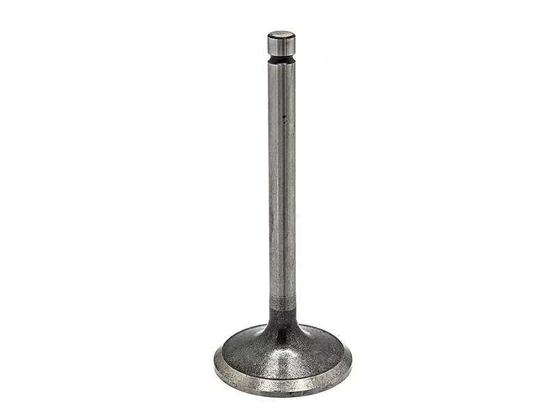 Клапан впускной TOYOTA LAND CRUISER 1HZ 90-98 - Артикул ITY0578 - Производитель DOKURO - Фото, Отзывы, Цены 