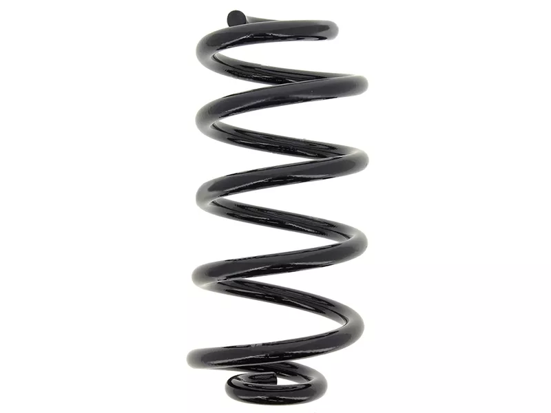 Пружина подвески RR NISSAN X-TRAIL 07 - Артикул RA6137 - Производитель Kyb - Фото, Отзывы, Цены 