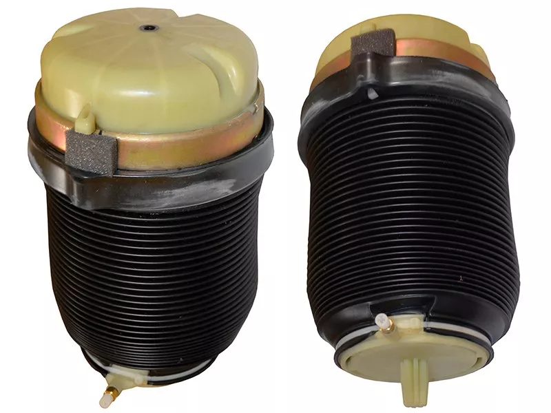 Пневмобаллон задний AUDI A6/AVANT 05-11 LH=RH - Артикул ST4F0616001J - Производитель Sat - Фото, Отзывы, Цены 