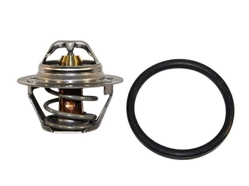 Термостат Nissan Almera 12-19 / Renault Duster 10-21 - Артикул TH604789J - Производитель Vernet - Фото, Отзывы, Цены 